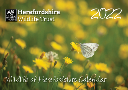 Photo Competition: 2024 Calendar | Herefordshire Wildlife Trust